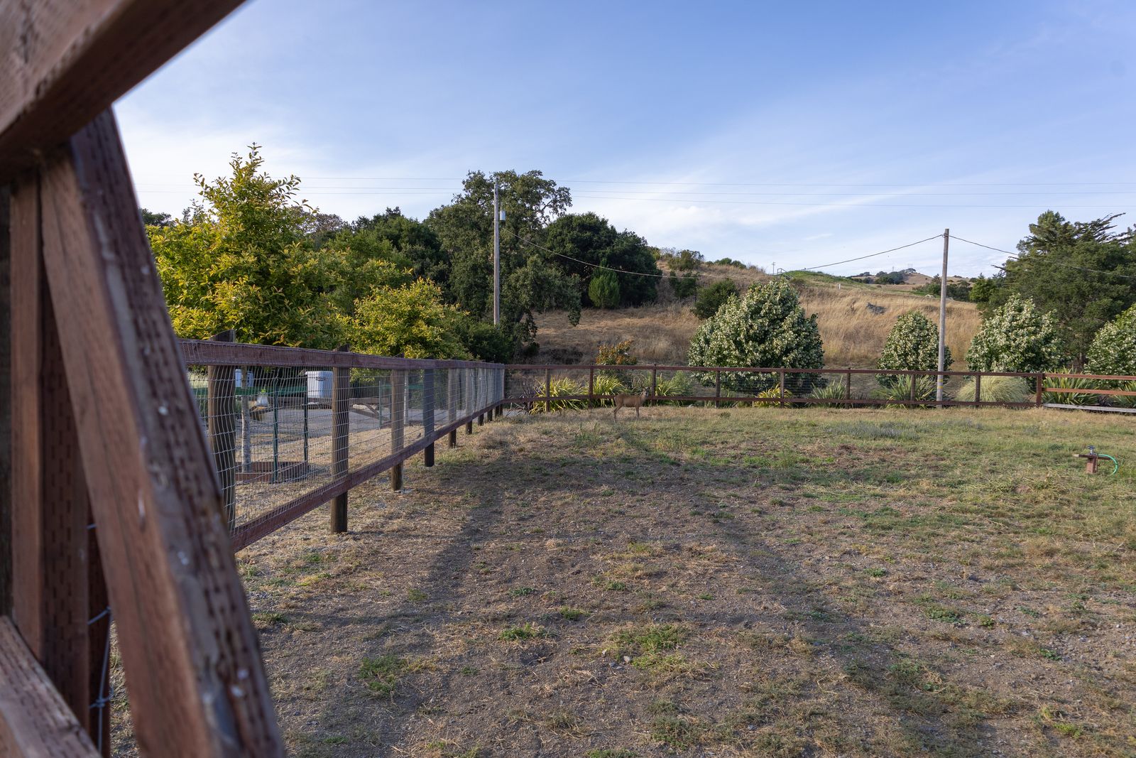 A fenced grass pasture with a deer near the trees, seen past a fence post.