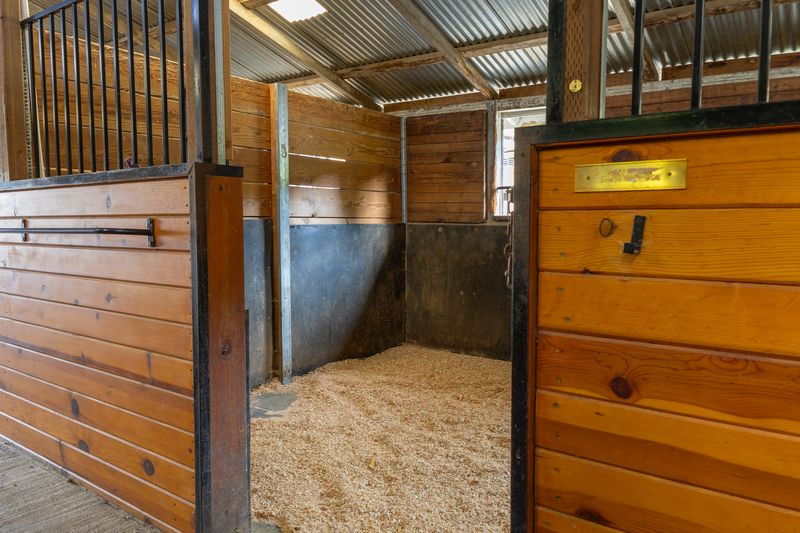 Freshly bedded empty horse stall seen through its open doorway