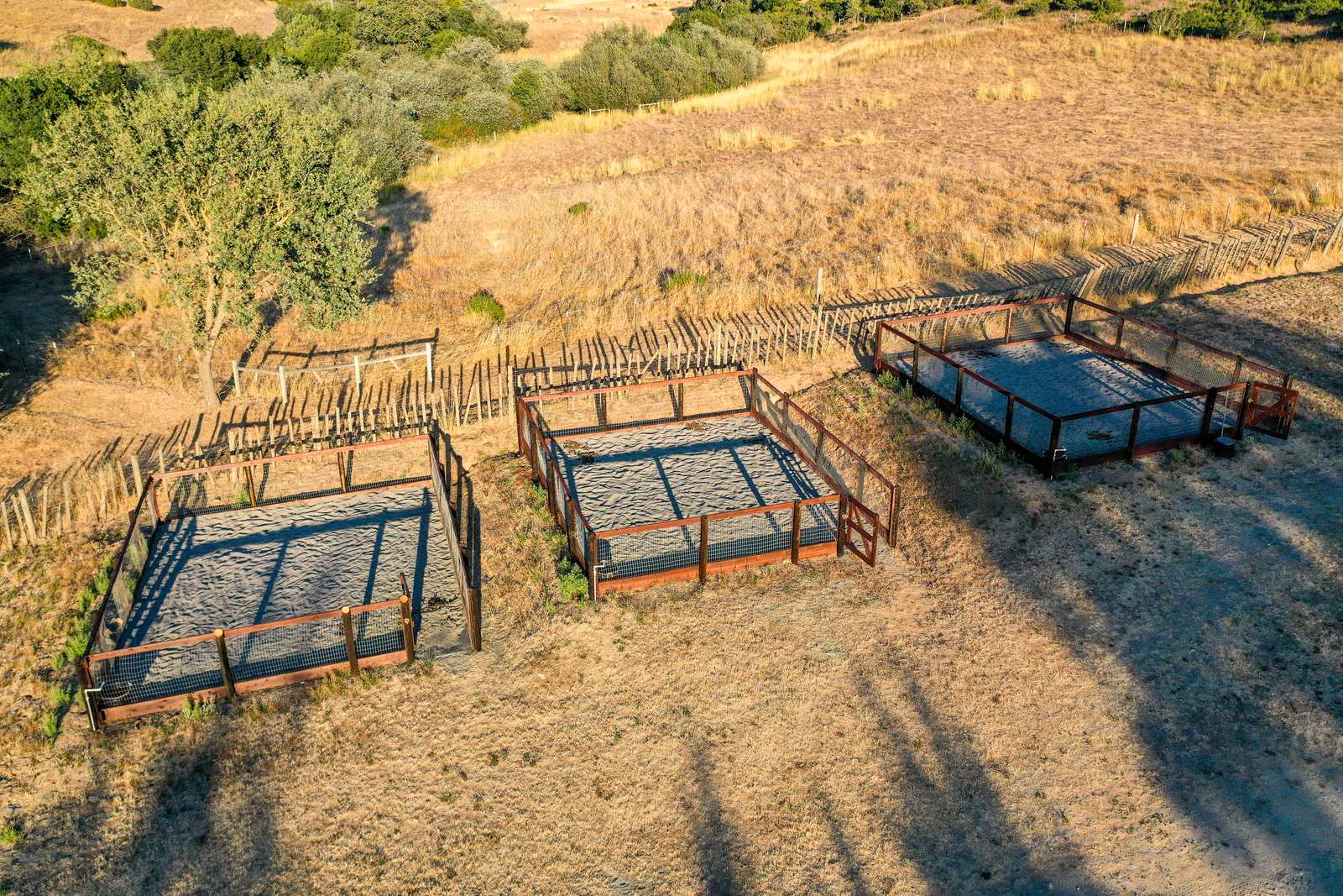 Three wood-fenced turnout pens on the open hillside in long evening shadows.