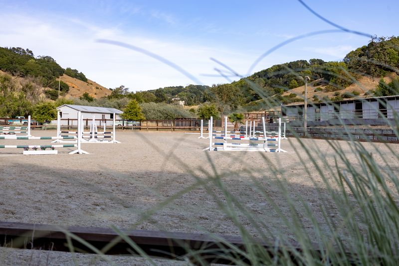 Outdoor jump arena and barn roofs seen through soft ornamental grass