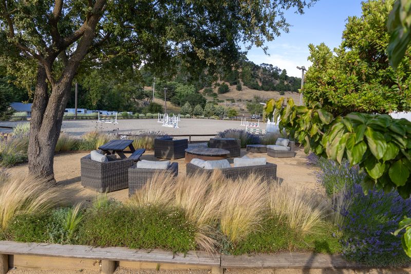 Outdoor lounge beneath an oak tree overlooking the jump arena