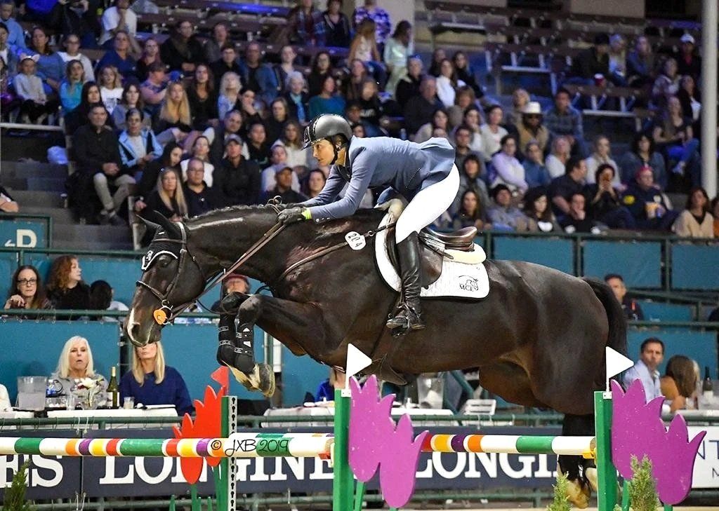 A rider and dark bay horse clear a fence in an indoor show-jumping arena.