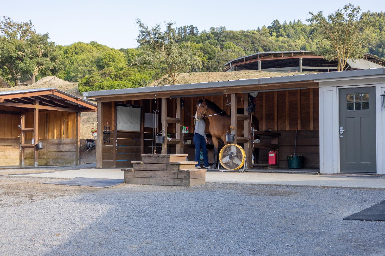 A handler tends to a bay horse at the wash rack beside the barn.