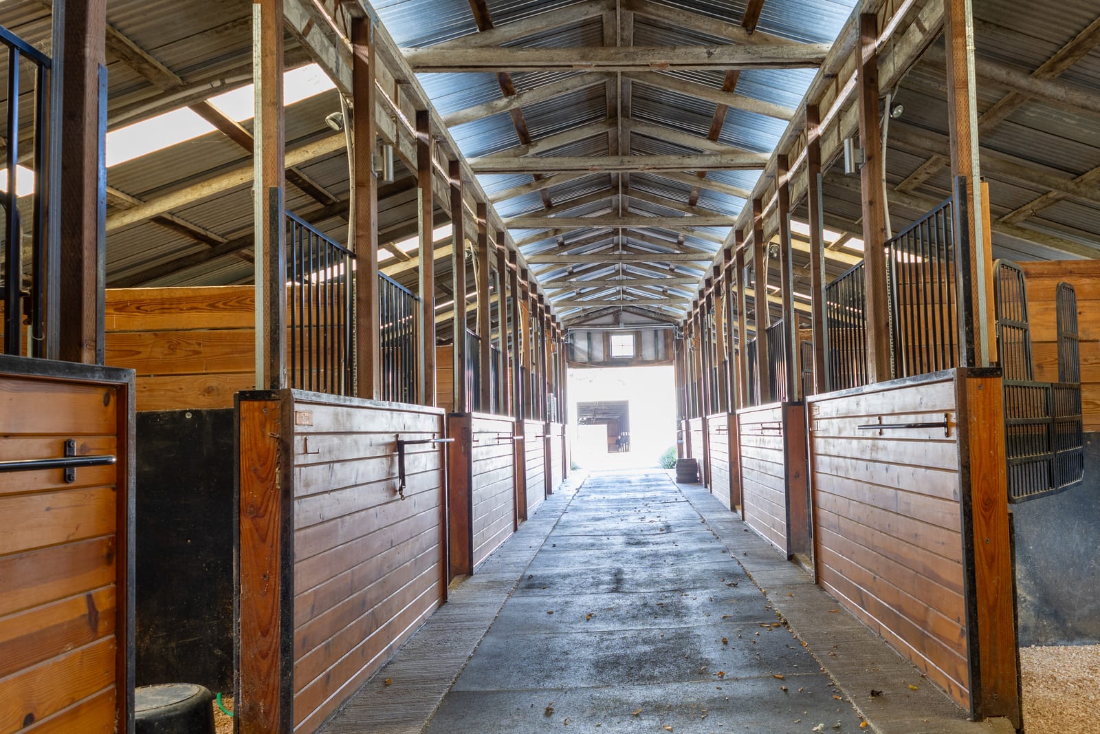 A long barn aisle between wood stalls with iron grilles, under a skylit roof.